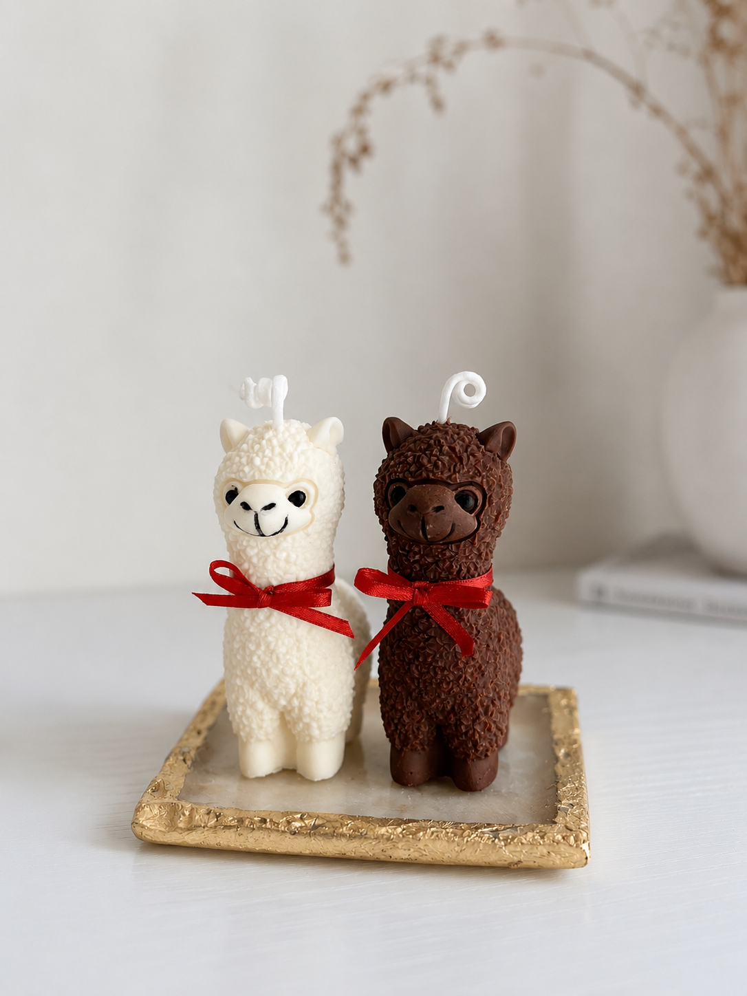 Vela Alpaca