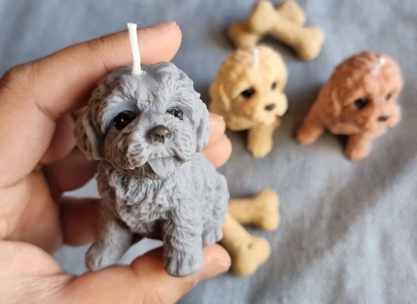 Vela Bichón Frisé cachorro