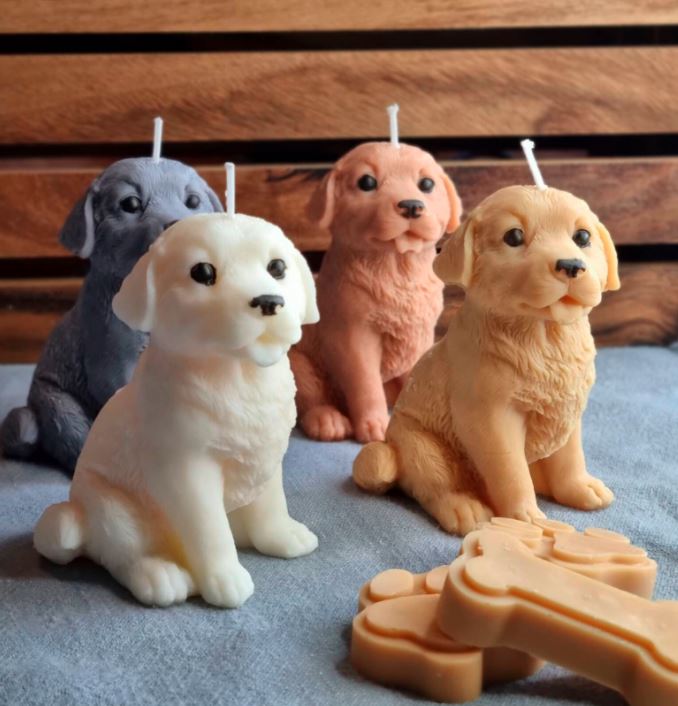 Vela Golden Retriever cachorro