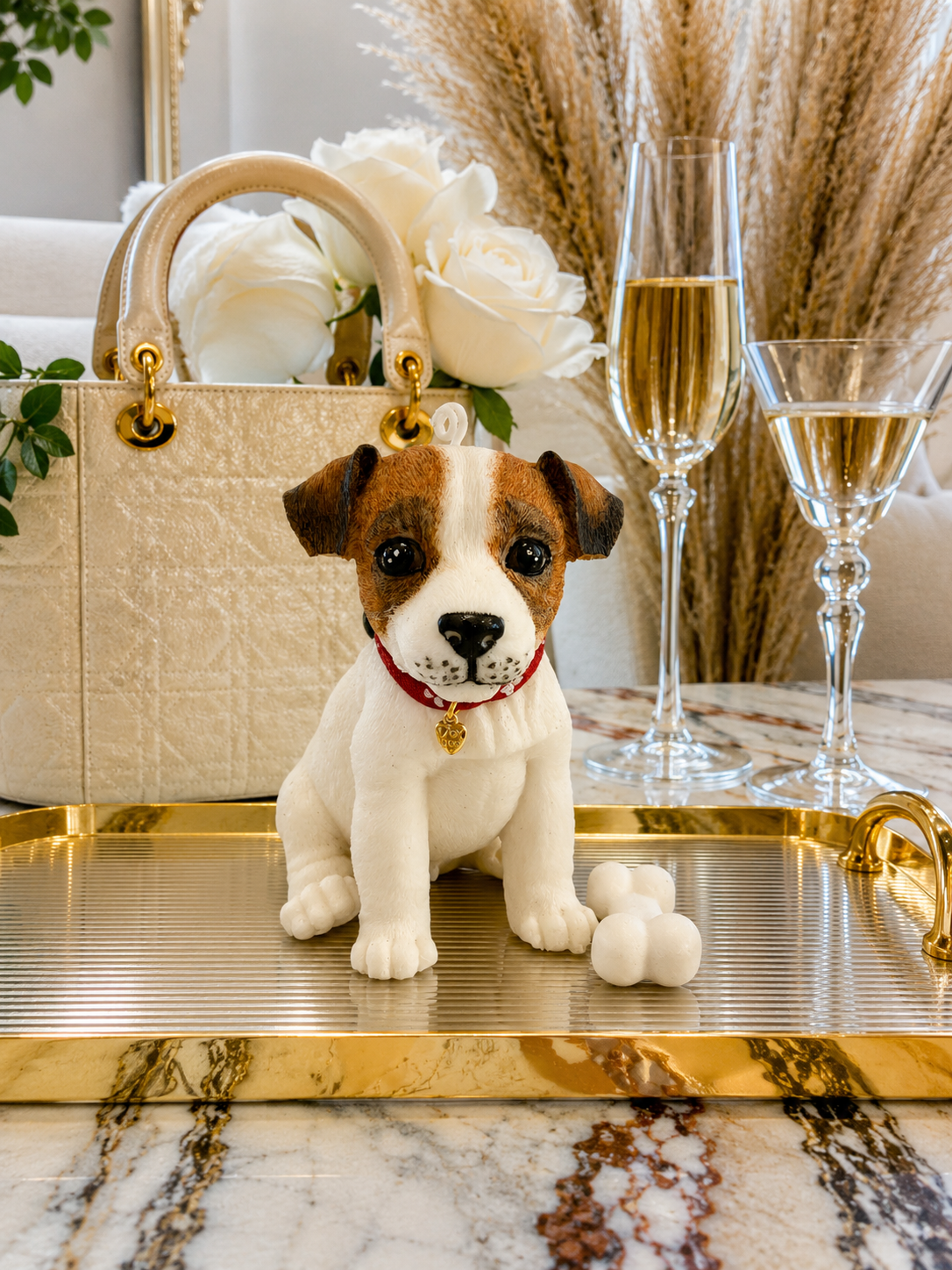 Vela Jack Russell Terrier