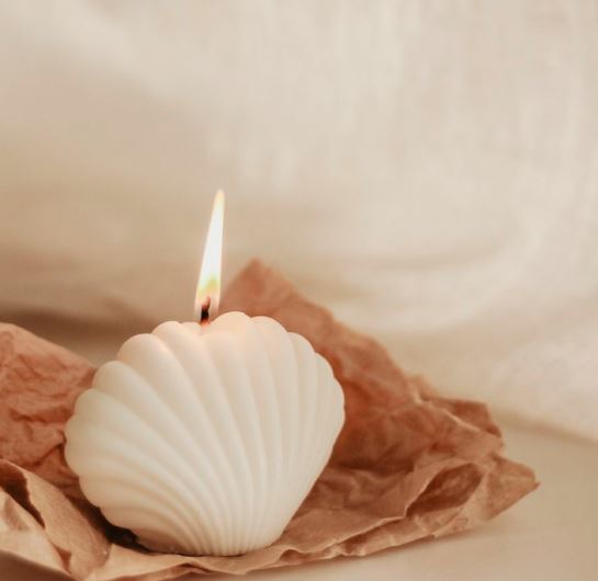 Vela Concha de Mar