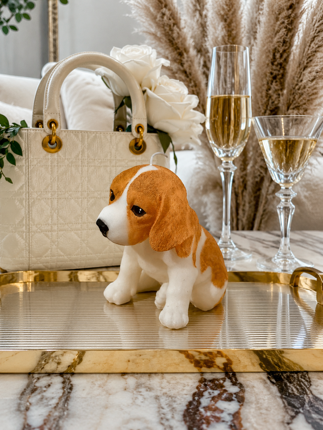 Vela Beagle (Grande)