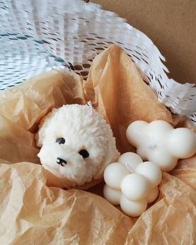 Vela Cabeza Bichón Frisé