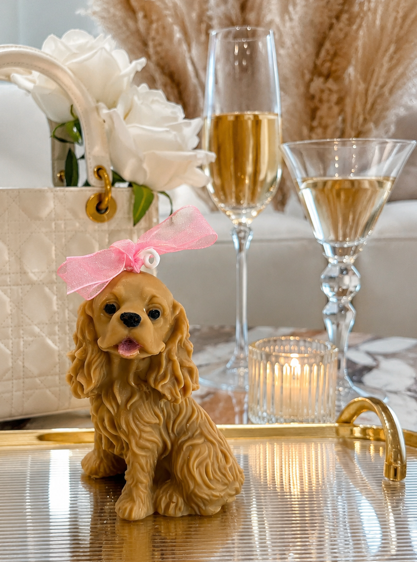 Vela Cavalier King Charles Spaniel