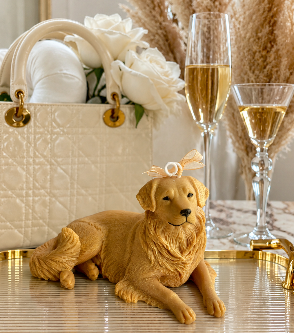 Vela Golden Retriever #2 (Gigante)