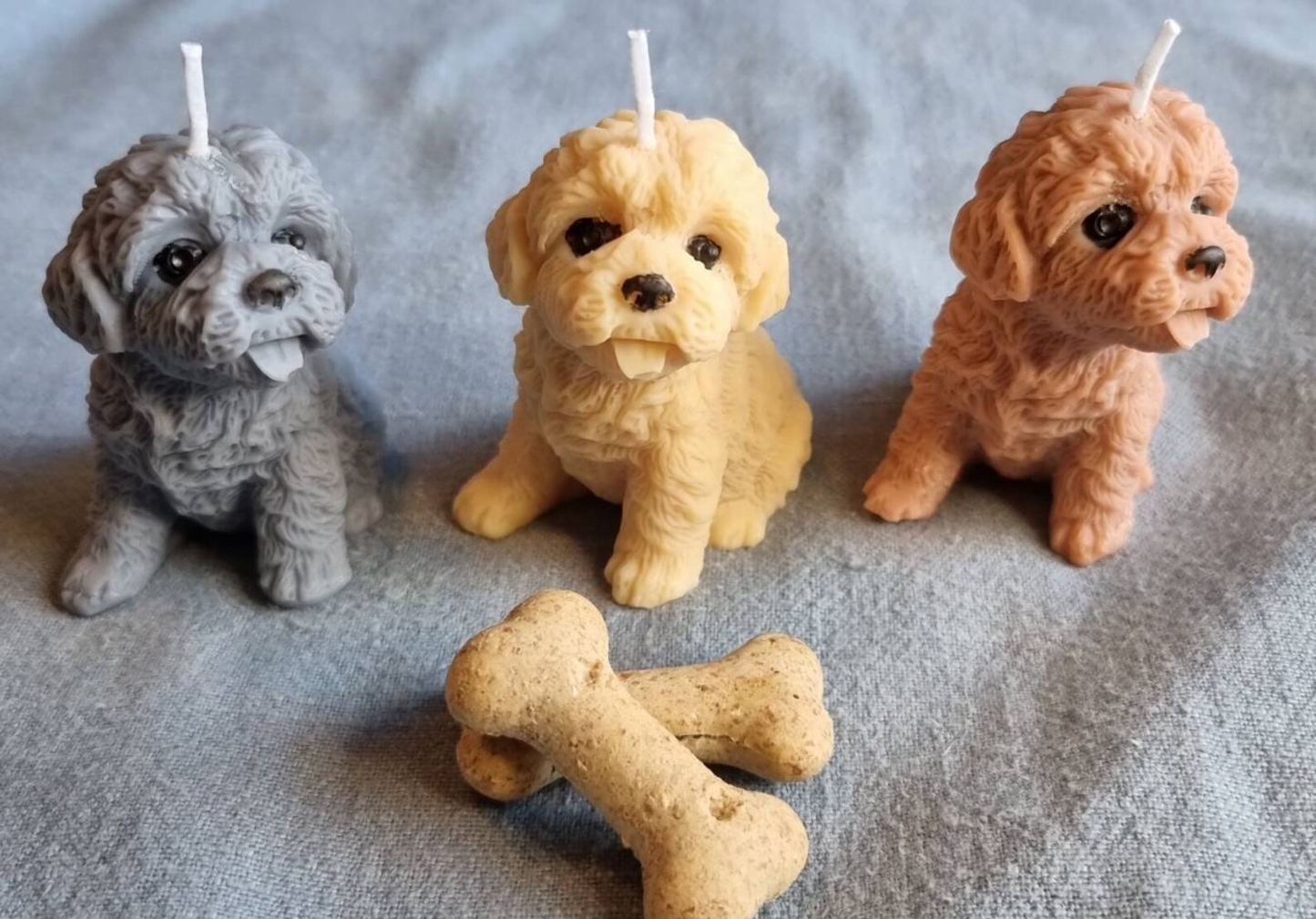 Vela Bichón  Frisé cachorro