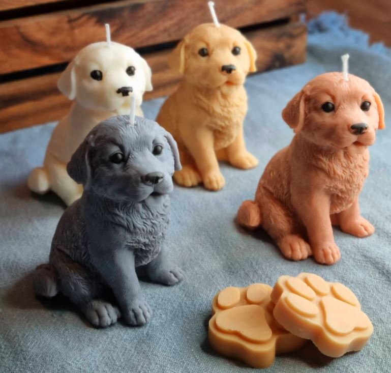Vela Golden Retriever cachorro