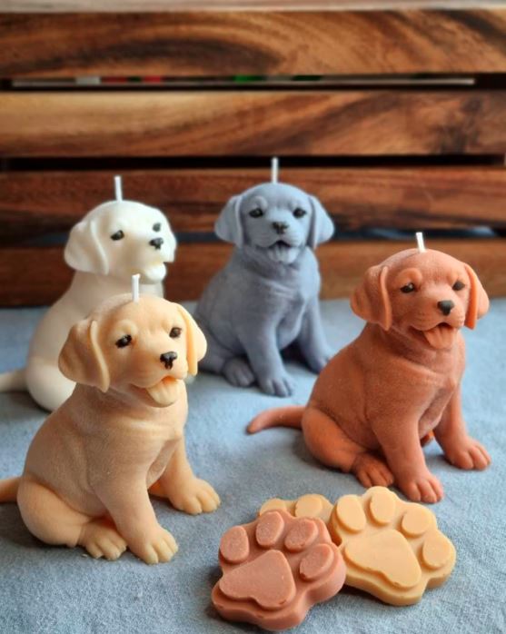 Vela  Labrador cachorro