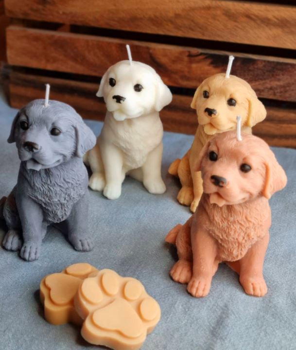 Vela Golden Retriever cachorro