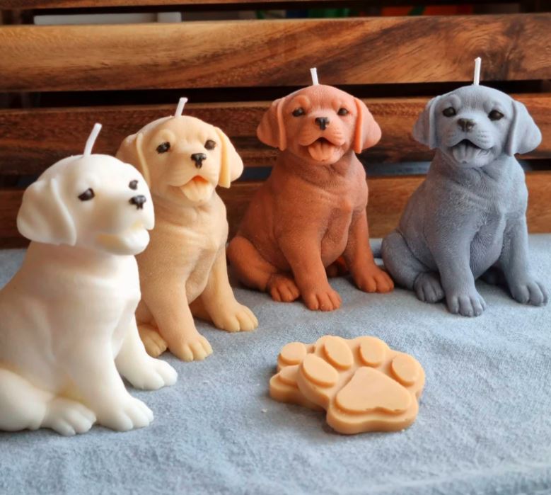 Vela  Labrador cachorro
