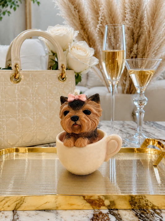 Vela Yorkshire Terrier en taza