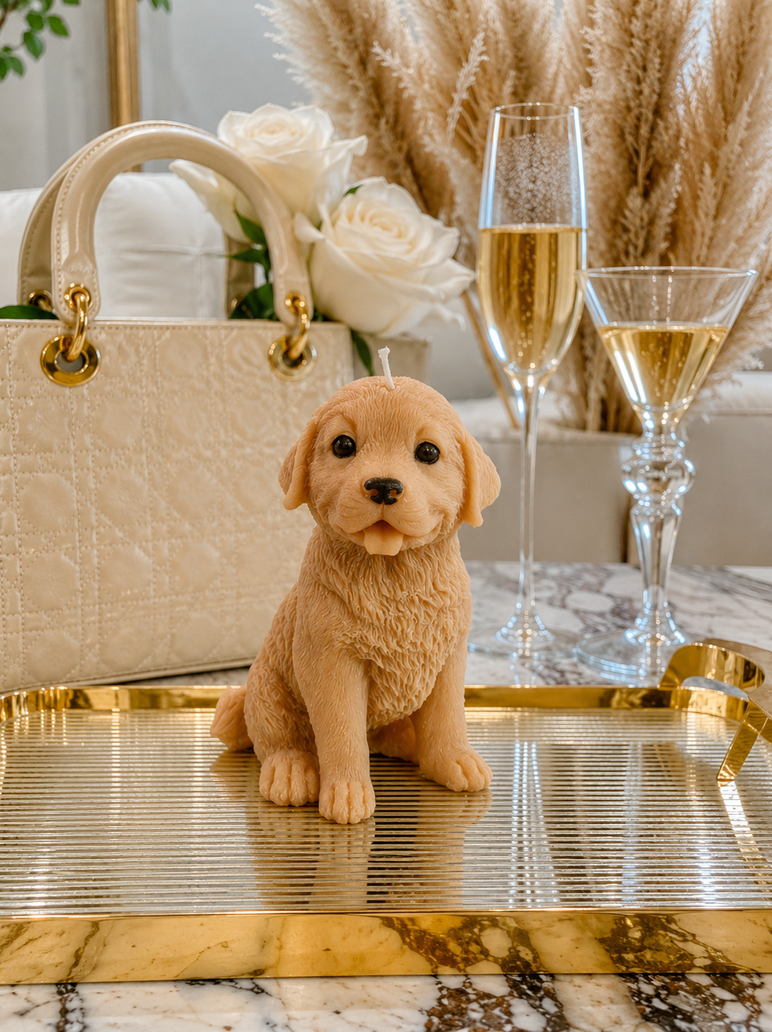 Vela Golden Retriever cachorro