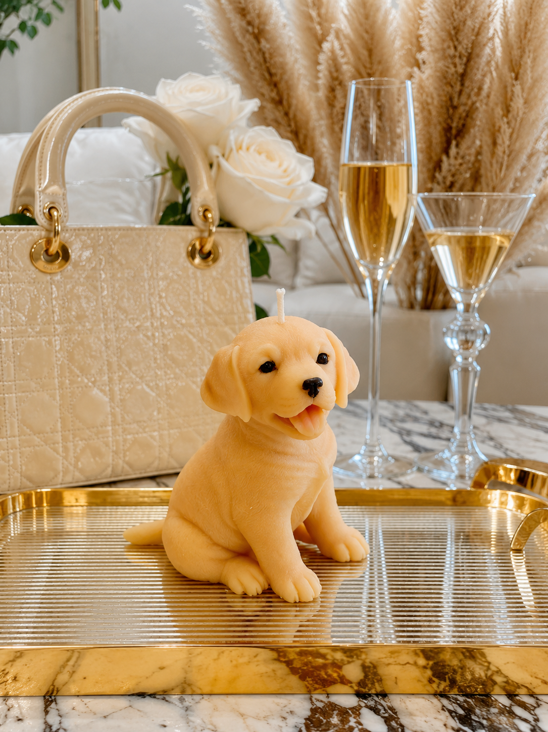 Vela  Labrador cachorro