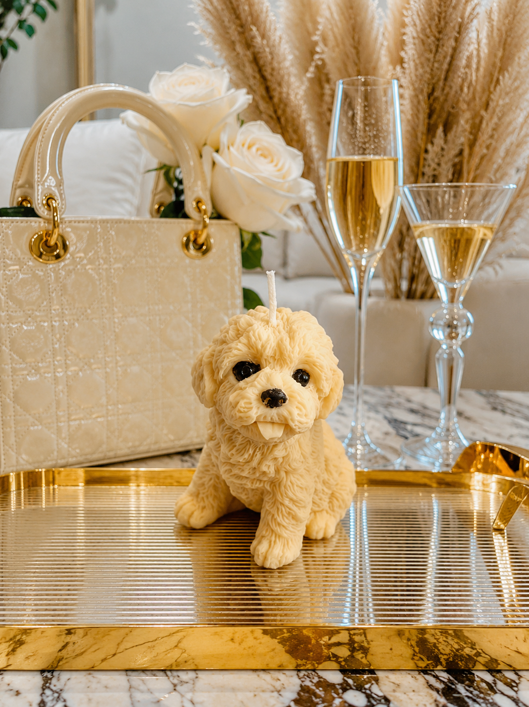 Vela Bichón  Frisé cachorro