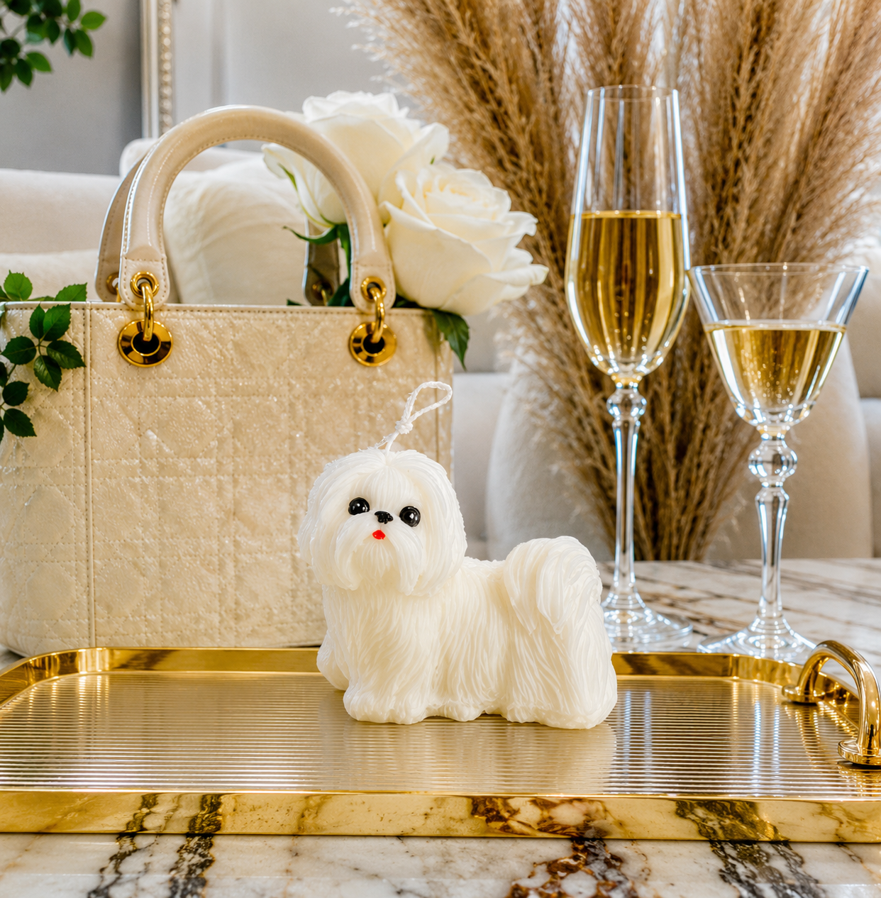 Vela Shih Tzu #2