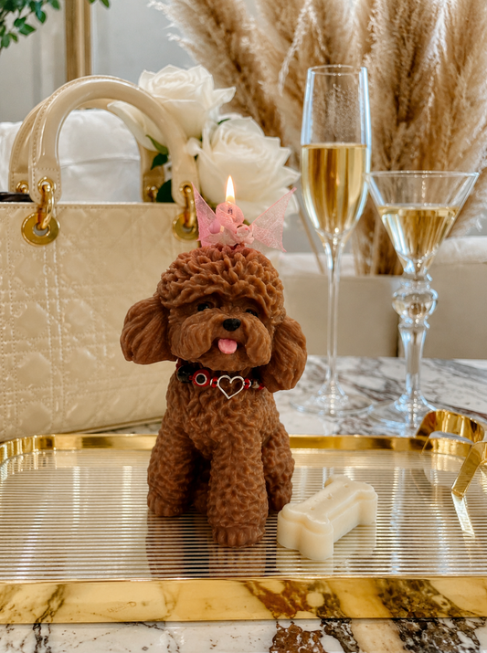 Vela Poodle #1 (Mediano)