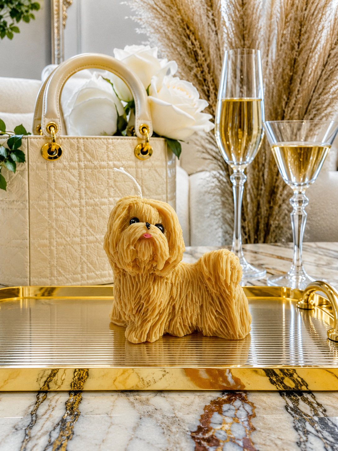 Vela Shih Tzu #2