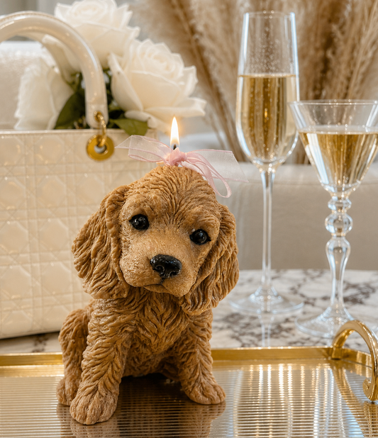Vela Cocker Spaniel  (Grande)