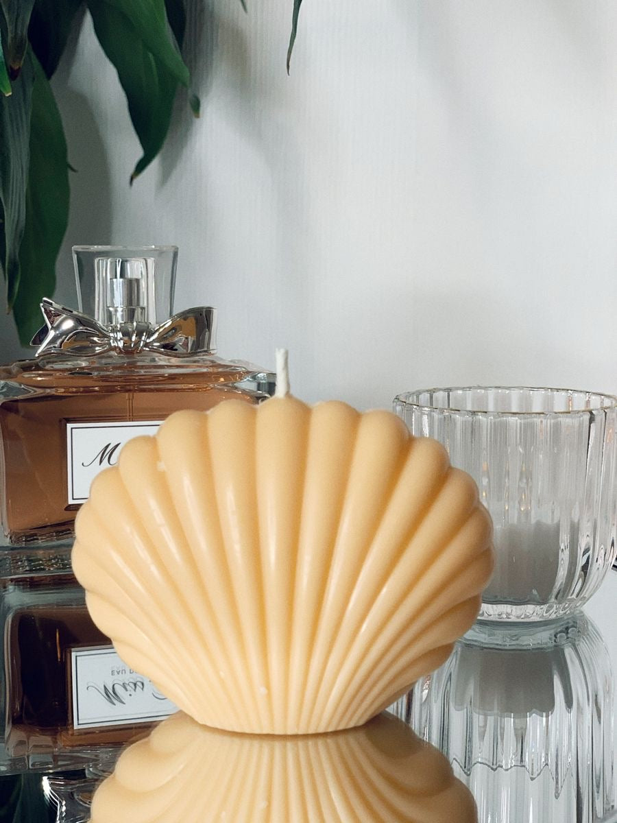Vela Concha de Mar