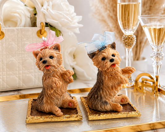 Vela Yorkshire Terrier Parado