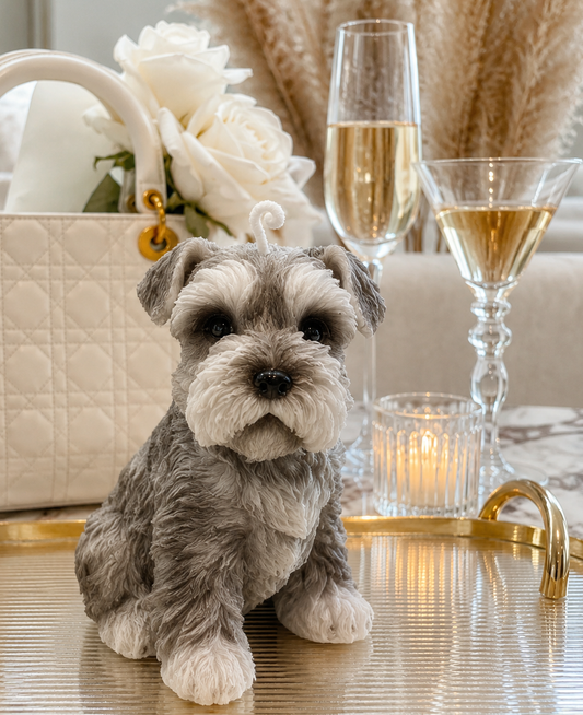 Vela Schnauzer (Grande)