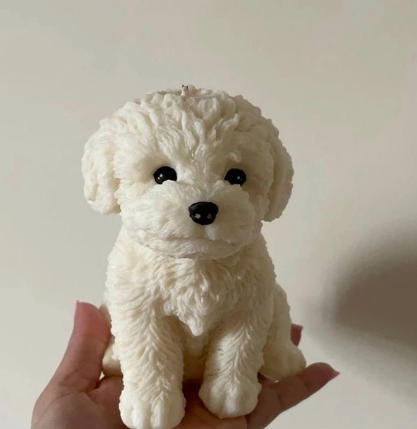 Vela Bichón Frisé (Grande) O/P