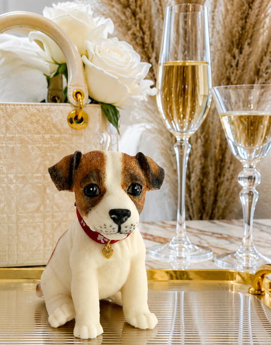Vela Jack Russell Terrier