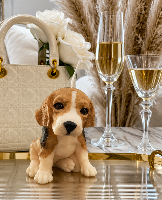 Vela Beagle (Grande)
