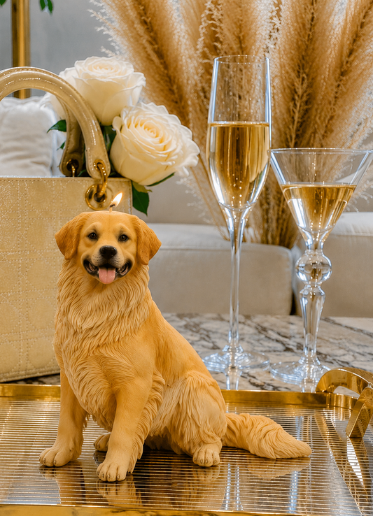 Vela Golden Retriever #1 (Gigante)