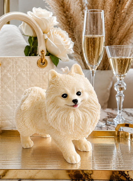 Vela Pomerania (Gigante)