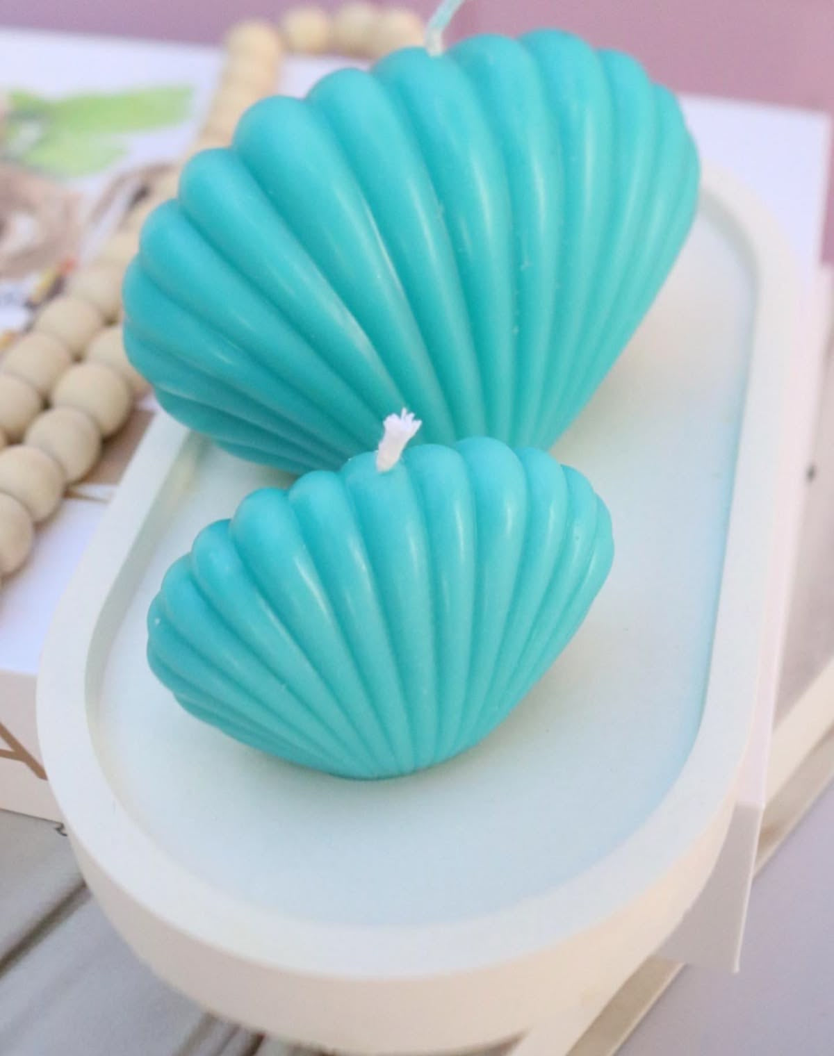 Vela Concha de Mar