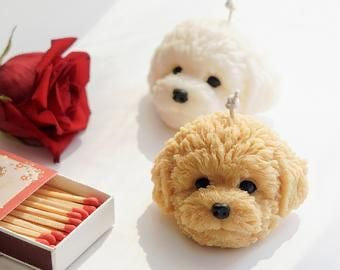 Vela Cabeza Bichón Frisé