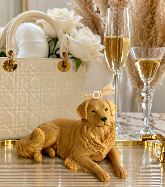 Vela Golden Retriever #2 (Gigante)