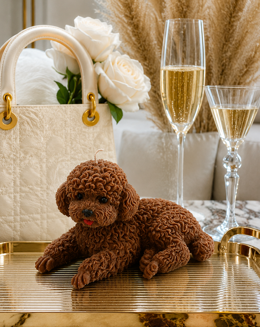 Vela Poodle Acostado #1