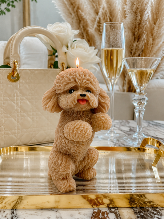Vela Poodle #2 (Mediano)